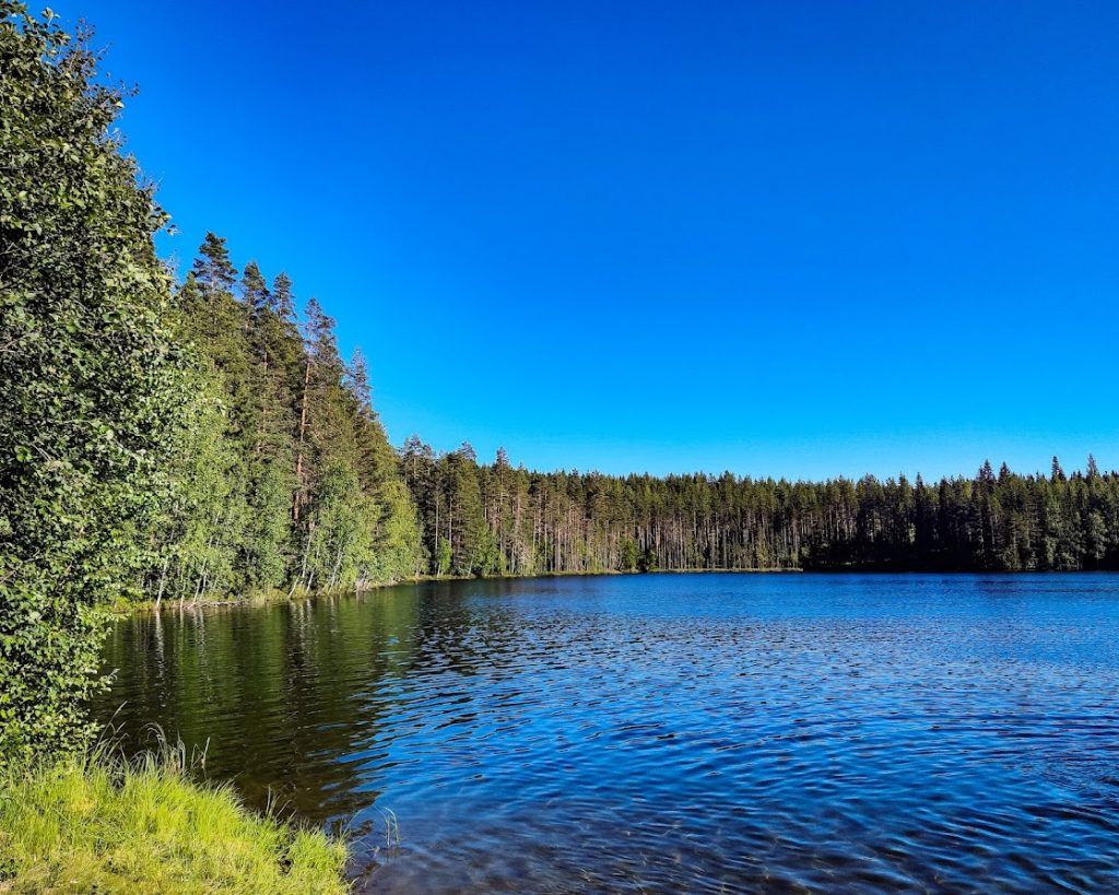 Tohmajärvi Nenosenlampi uintipaikka