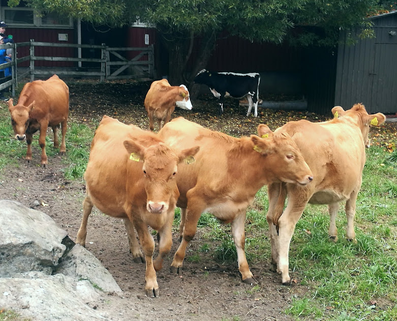 Ahlmanin ammattioppilaitos Tampere