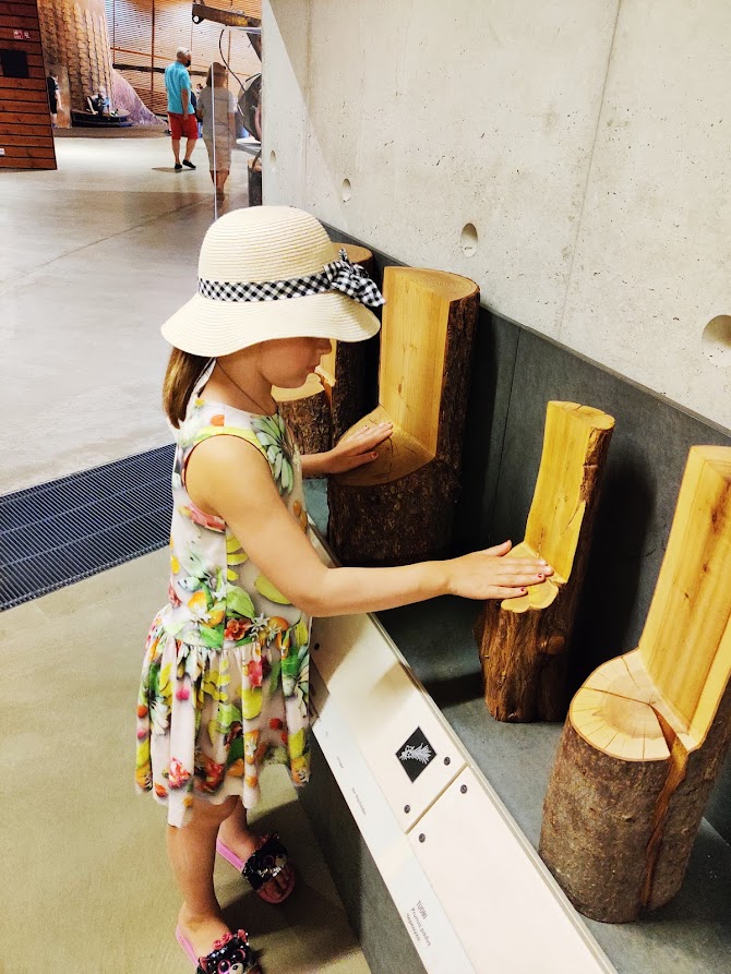 Metsämuseo Lusto lasten kanssa