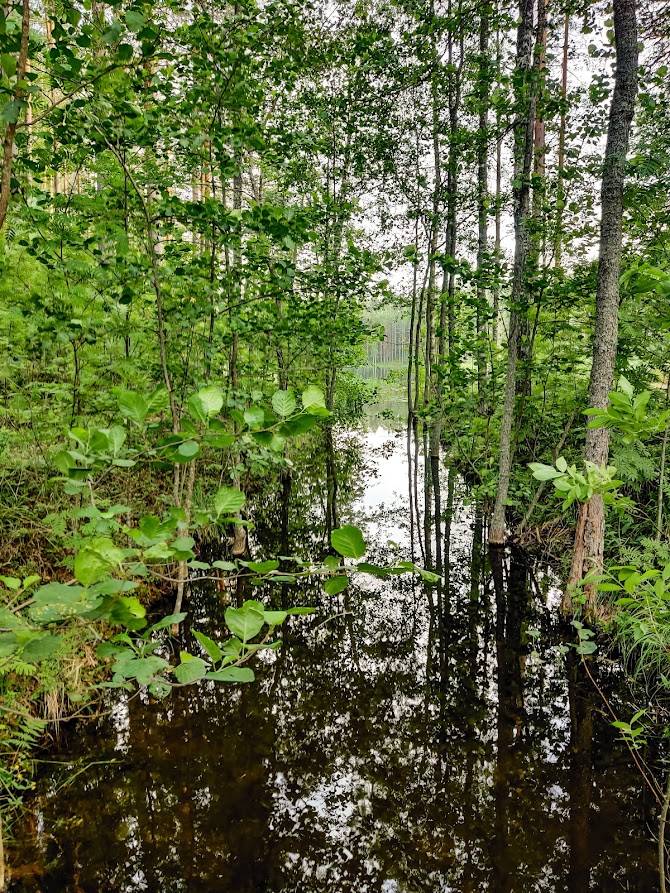 Hotelli Punkaharju luonto kävelyreitit