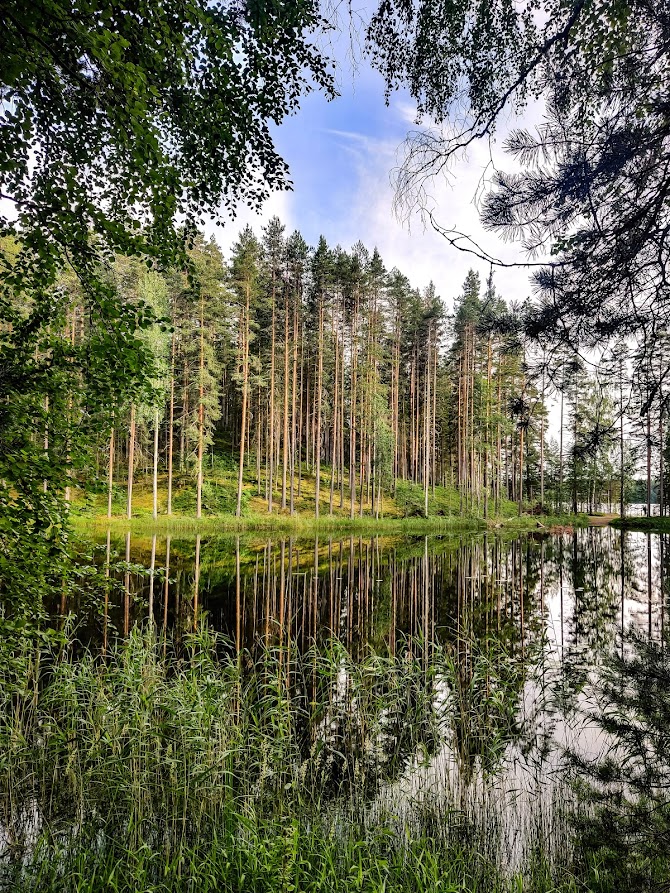 Hotelli Punkaharju luonto ja kävelyreitit