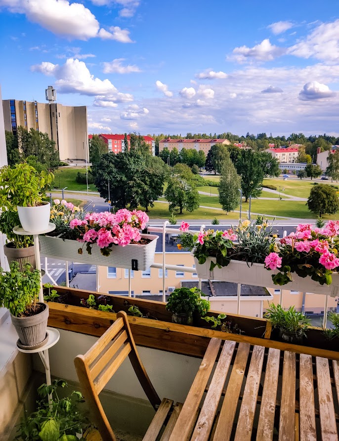 aurinkoa kestävät parvekekukat