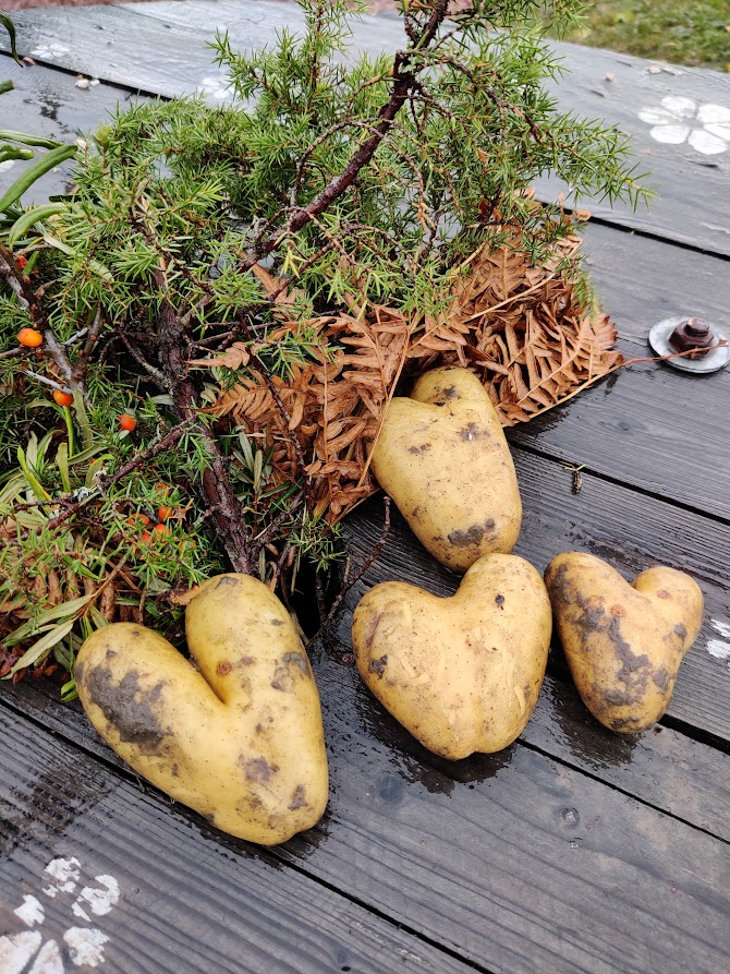 Tekemistä Ahvenanmaalla Skördefesten sadonkorjuujuhla